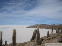 Saltar de Uyuni - Bolivien