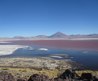 Laguna Colorado - Bolivien