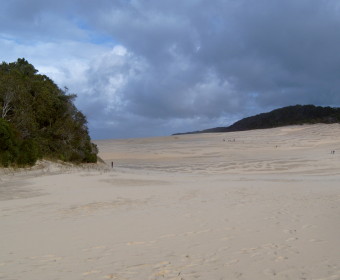 Sanddünen Fraser Island - Australien